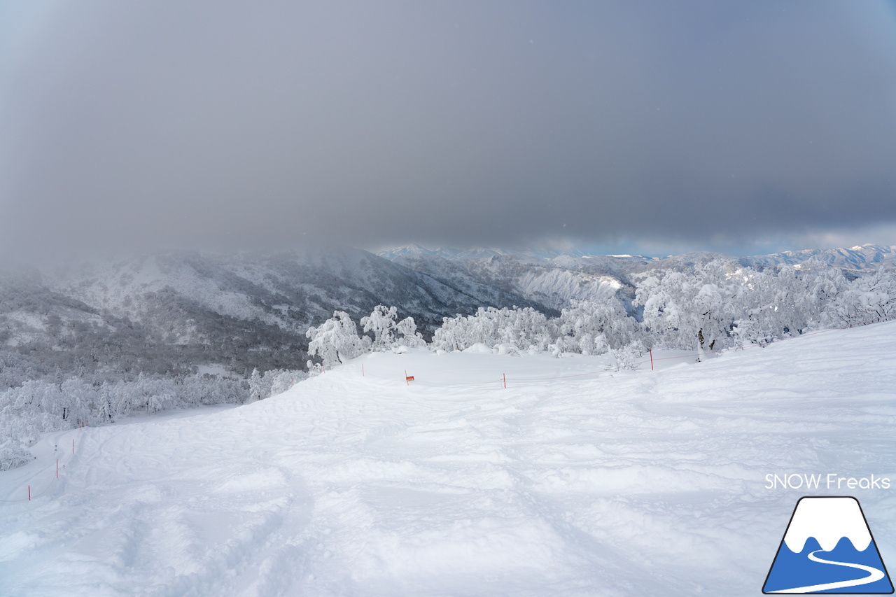 最高に気持ちの良いキロロの雪を滑る！北海道発 スキー・アウトドア専門店『パドルクラブ』のスタッフたちの休日。【ゲレンデパウダー編】in キロロリゾート